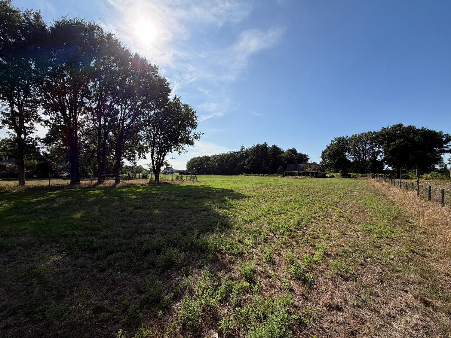 Open landbouwperceel te Poeyelheide, met bomenrij en Kempense lucht
